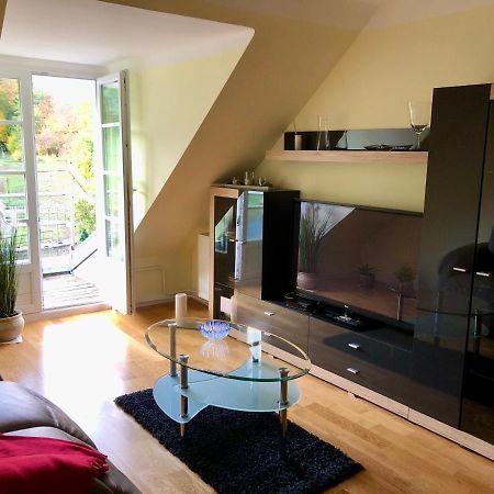 Ferienwohnung Im Gruenen Auf Idyllisch Gelegenen Gutshof Und Doch So Zentral Waldshut-Tiengen Zewnętrze zdjęcie